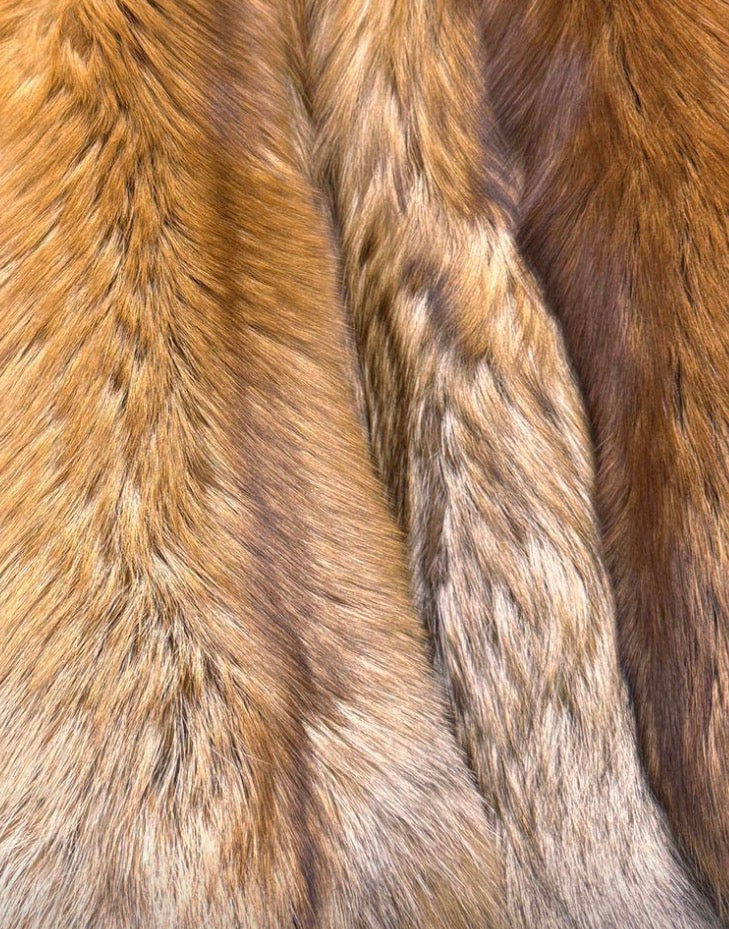 CORTINA - Volpe Full Skin - SU MISURA - Realizzato interamente a mano - certificato SAGA Furs