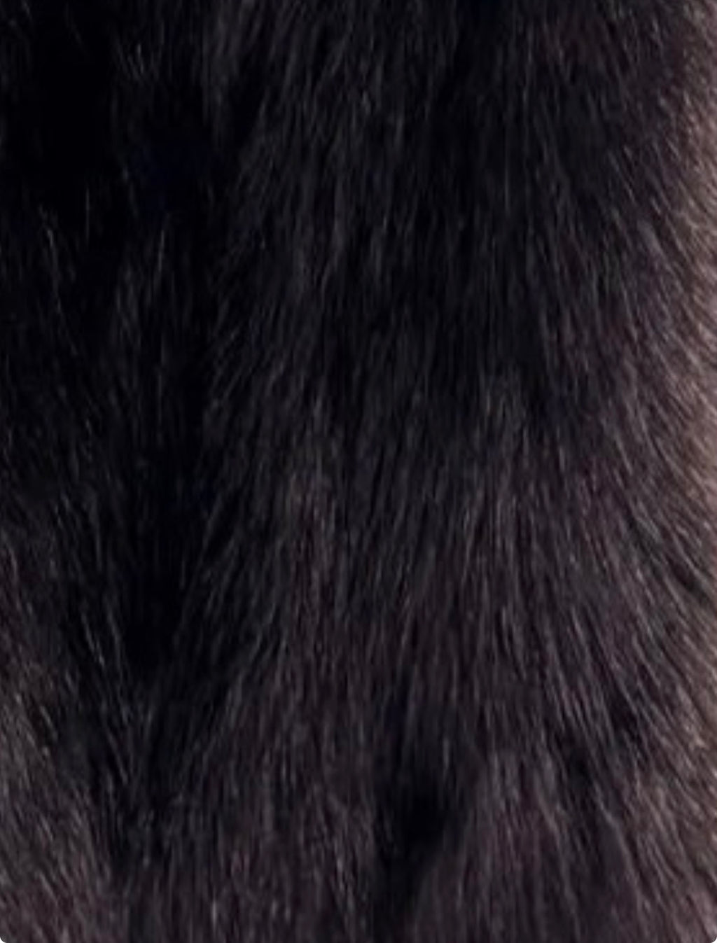 COURMAYEUR with HOODIE - Volpe Full Skin - SU MISURA - Realizzato a mano - Certificato SAGA Furs