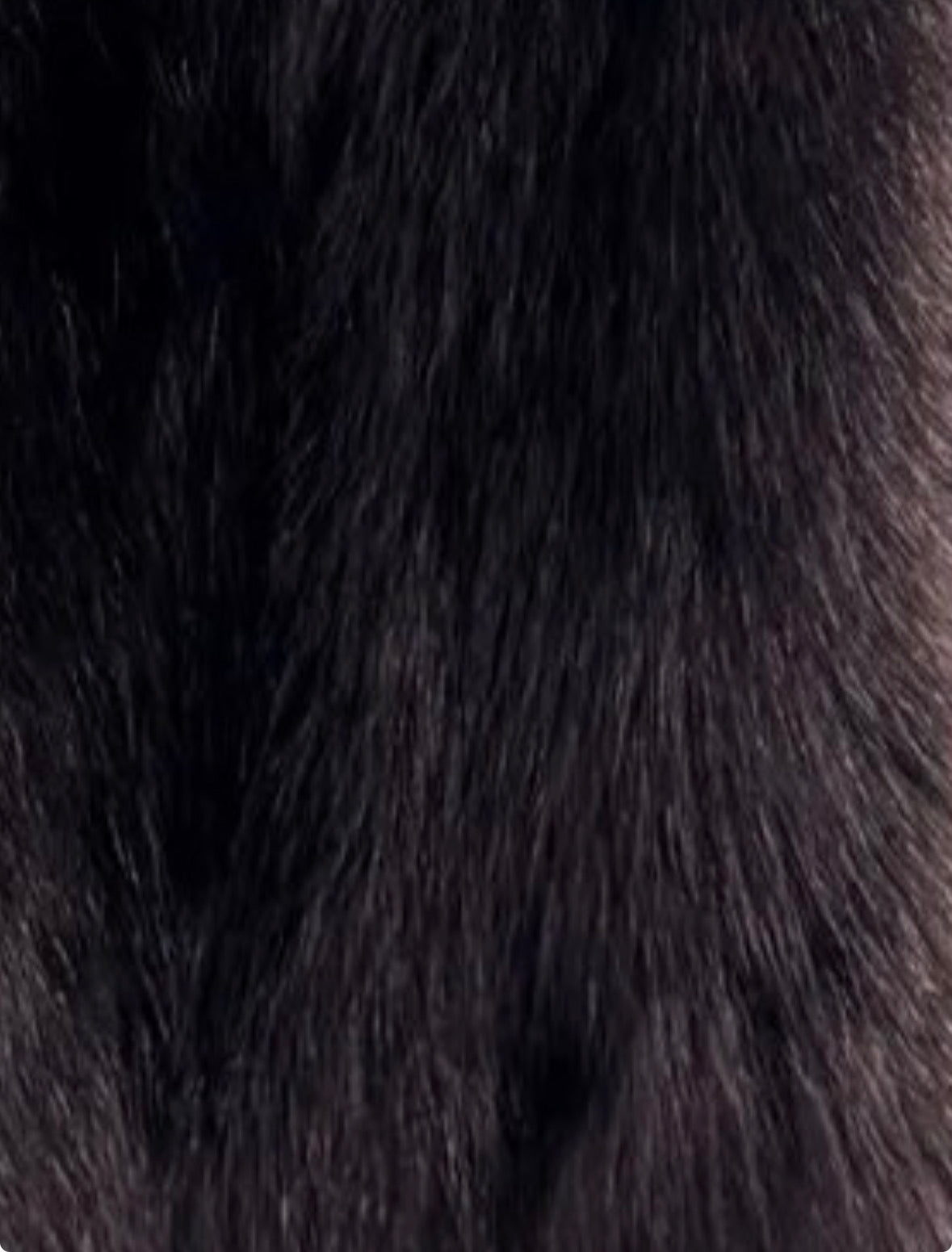 COURMAYEUR - Volpe Full Skin - SU MISURA - Realizzato a mano - Certificato SAGA Furs